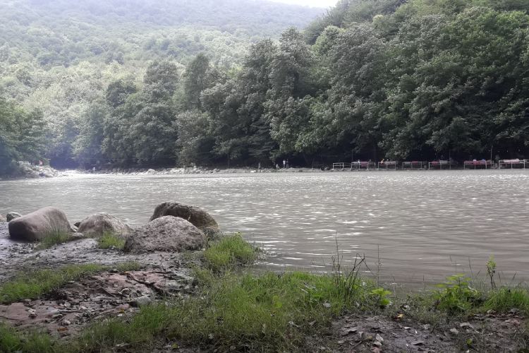 مرداب وربن در استان مازندران؛ نگاهی به این مرداب زیبا در دل طبیعت
