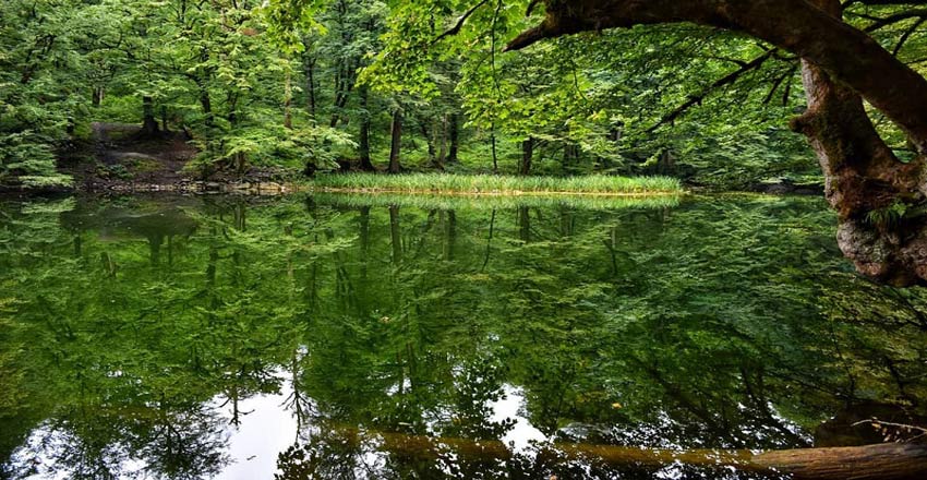 دریاچه فراخین در مازندران؛ بهترین زمان سفر و جاهای دیدنی آن
