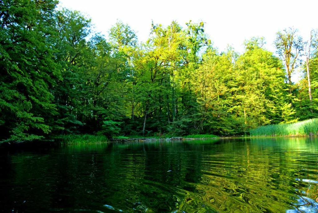 دریاچه فراخین در مازندران؛ بهترین زمان سفر و جاهای دیدنی آن