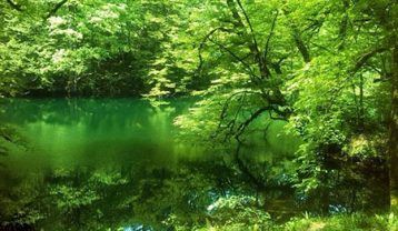 دریاچه فراخین در مازندران؛ بهترین زمان سفر و جاهای دیدنی آن دریاچه فراخین